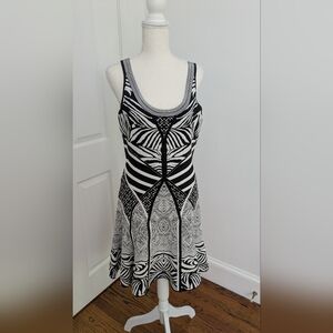 Diane Von Furstenburg sleeveless Zebra print Fit And Flare Dress, Size M